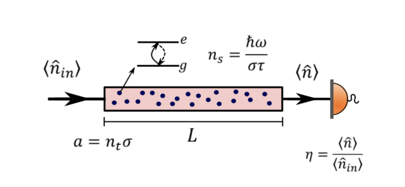 Quantum Metrology with Saturable Absorber